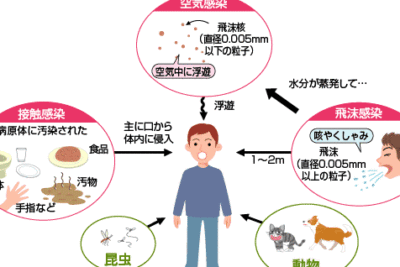 ウイルスはどこから感染するのか？ー原因と対策